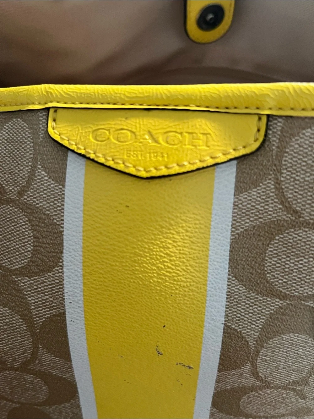 Coach Signature Stripe Drawstring Carryall Leather Shoulder Bag